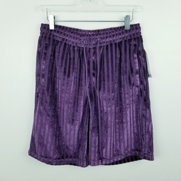 Urban Outfitters Pants - Urban Outfitters Plum Striped Velvet Suede Shorts NWT